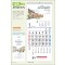믿음129 감사 열두 바구니(3단-장 (사이즈 345*780*13매)