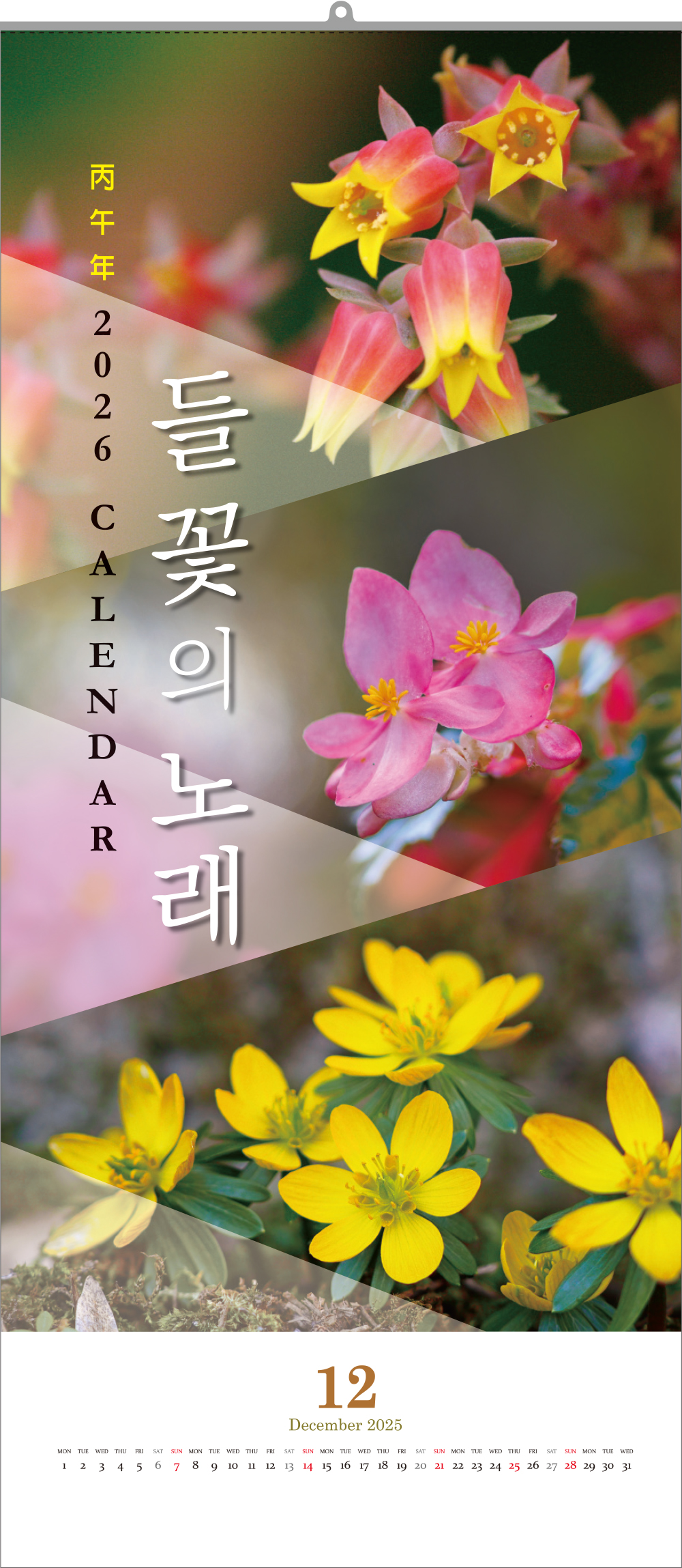 25호 들꽃의 노래(야생화)   (345*780*13매-스노우화이트지120g)